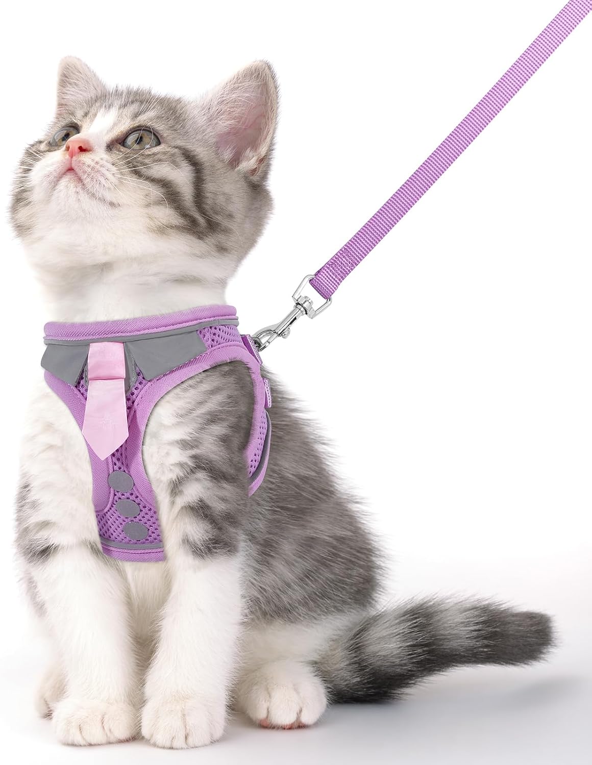 Cat Harness and Leash Set for Walking Escape Proof Vest for Kitten