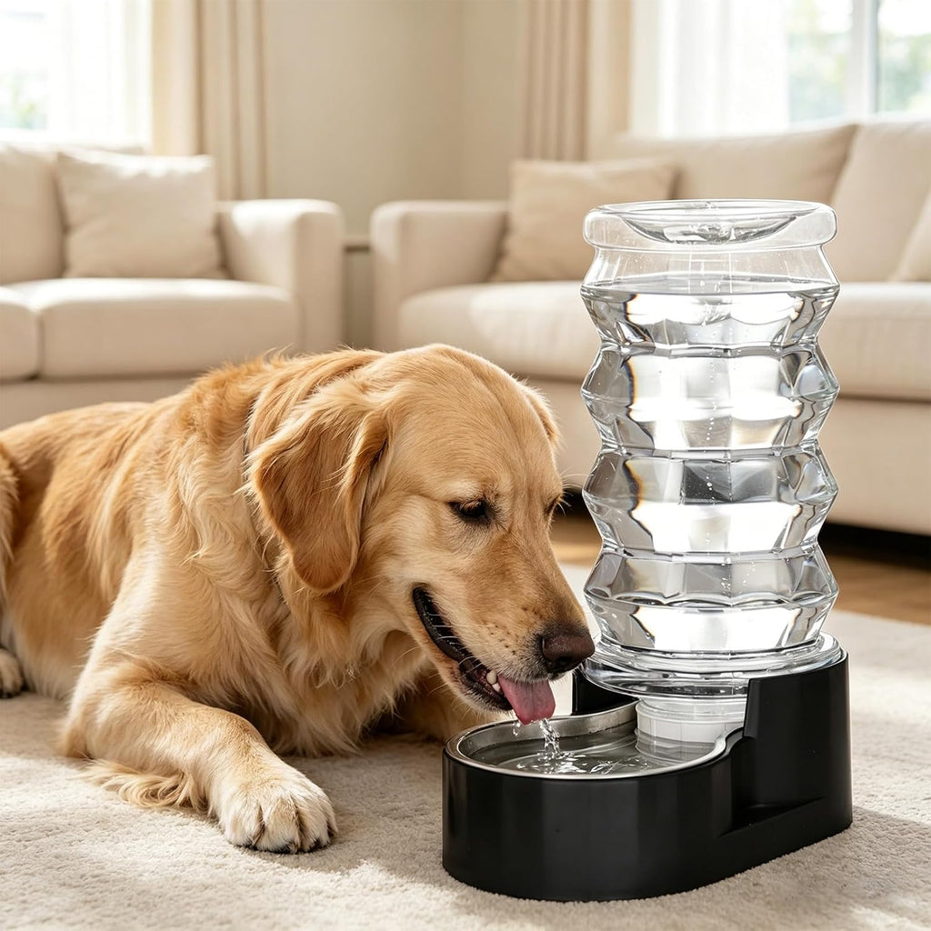 RIZZARI 8L Filtered Dog Water Dispenser: Stainless Steel Bowl for Pets