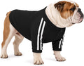 Bulldog Sweatshirt for Broad-Chested Dogs, Black, L
