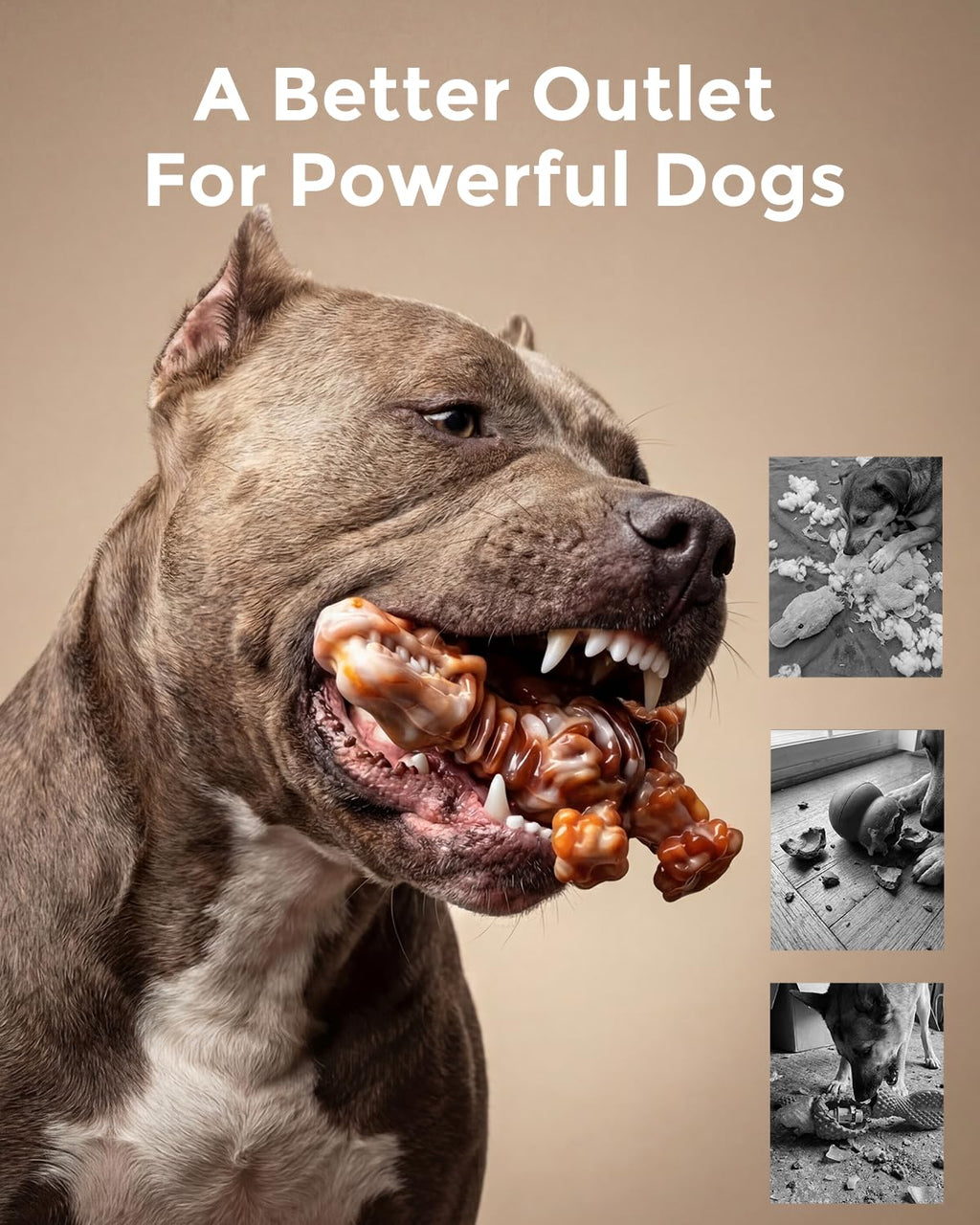 DinoBone 2-Pack Tough Dog Chew Toys for Aggressive Chewers, Rock-Hard Nylon