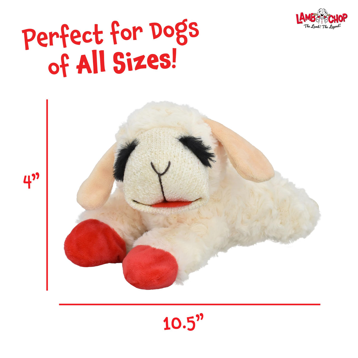 Multipet Lamb Chop Dog Plush Toy 10", Cream, 5 Squeakers