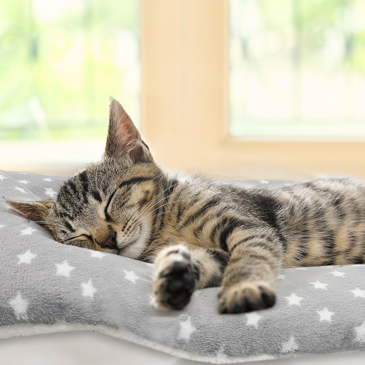 2 Pack Cat Blanket for Indoor Cats, Ultra Soft & Warm Calming Bed