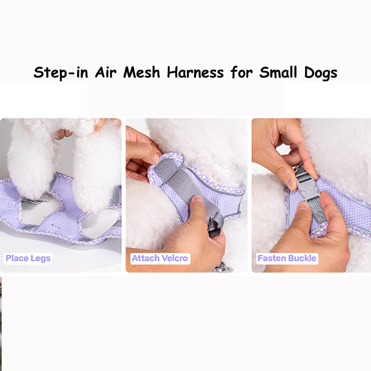 Petank Dog Harness for Small Medium Dogs No Pull, Puppy Harness and Leash Set, Step in Dog Harness for Walking, Running, Training, Small Dog Vest(Purple, S)