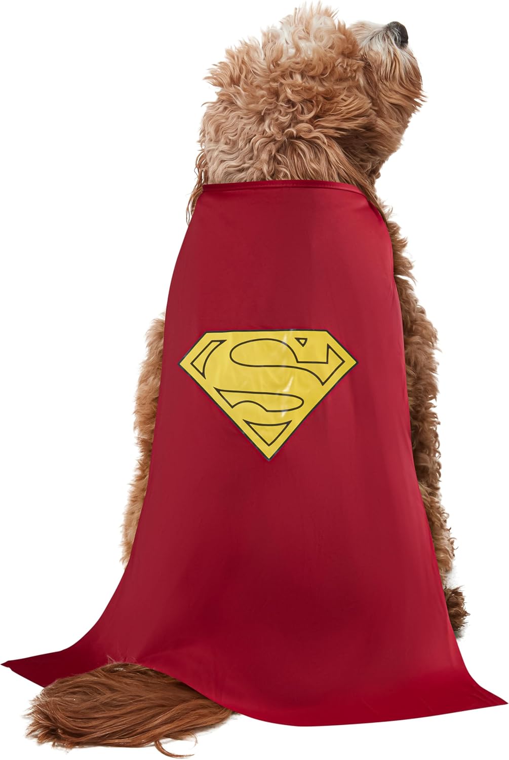 Rubies DC Comics Superheroes: Superman Pet Costume for Dogs or Cats, Medium