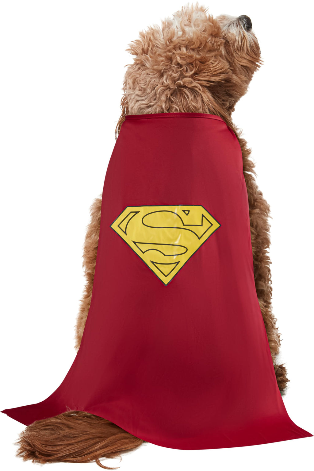 DC Comics Superheroes: Superman Pet Costume for For Dogs or Cats by Rubies, Large