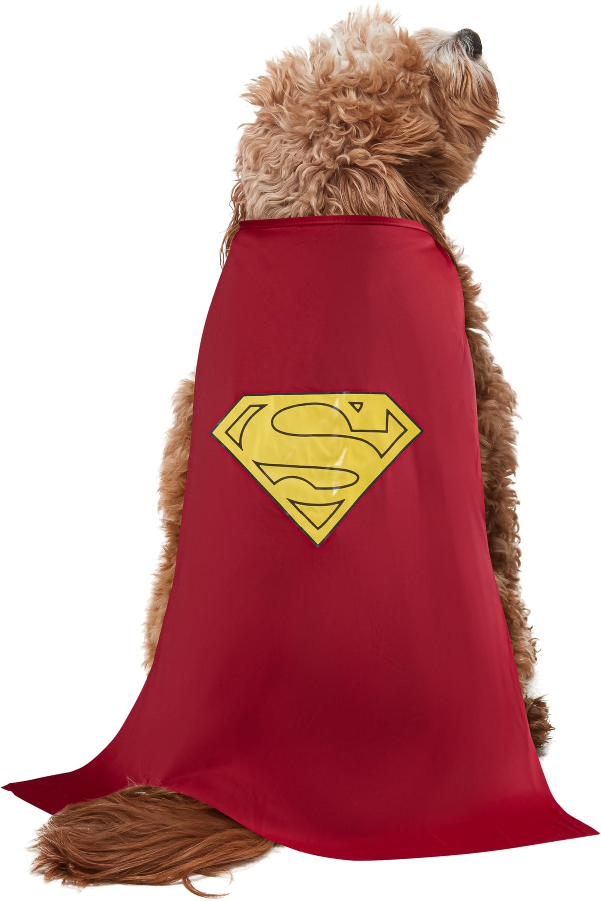 DC Comics Superheroes: Superman Pet Costume for For Dogs or Cats by Rubies, Large