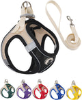 Pet Harness Set for Small Dogs Cat, Black XXS Adjustable Vest Harness
