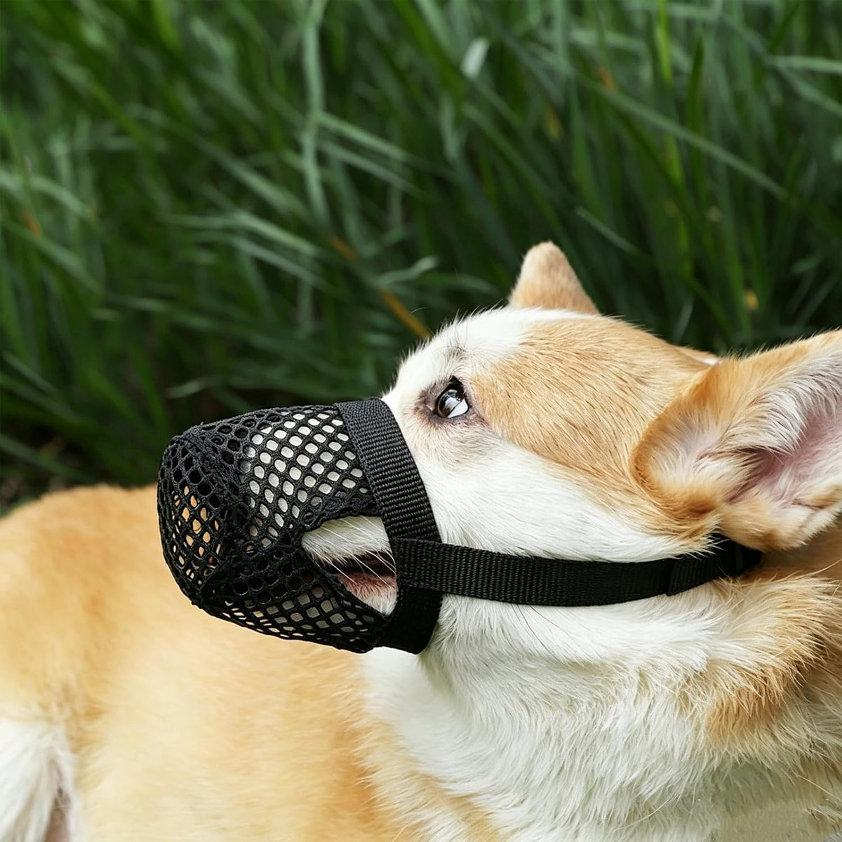 Mesh Dog Muzzle for Small Dogs, Nylon Soft Dog Mouth Cover