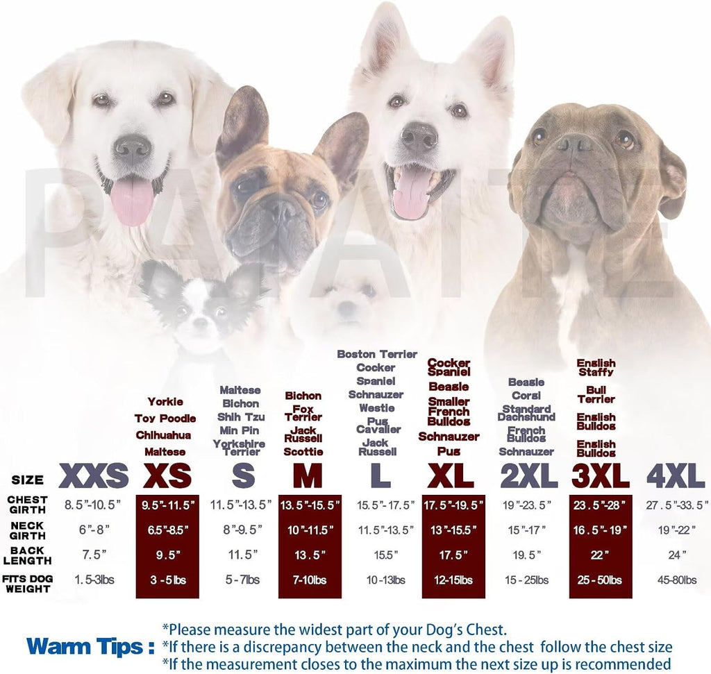 Wine Red Chihuahua Dog Hoodie: Warm and Stylish with a 'Security' Printed Sweatshirt, Cold Weather Pet Clothes, and Swea