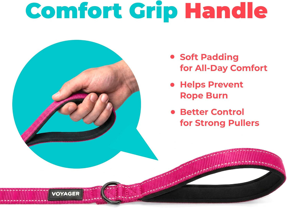 Best Pet Supplies Voyager Nylon Dog Leash - Fuchsia, Small