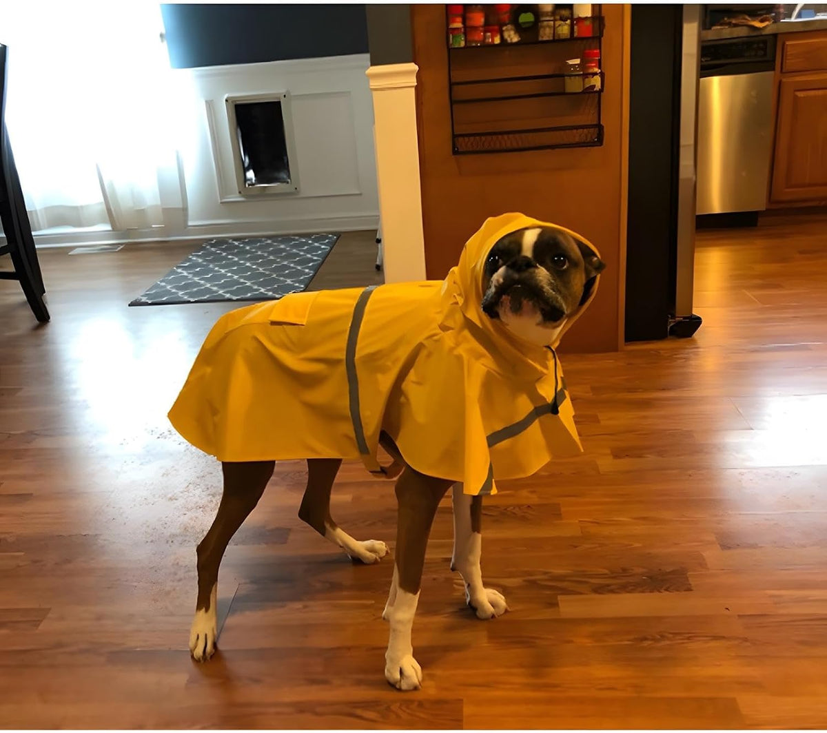 Large Dog Raincoat Adjustable Pet Water Proof Clothes Lightweight Rain Jacket Poncho Hoodies with Strip Reflective (XL, 