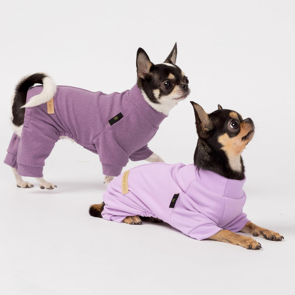 Fitwarm 2 Pack Lightweight Fleece Dog Pajamas, Warm Winter Dog Clothes for Small Dogs Boy Girl, Cozy Pet Onesie with Fee
