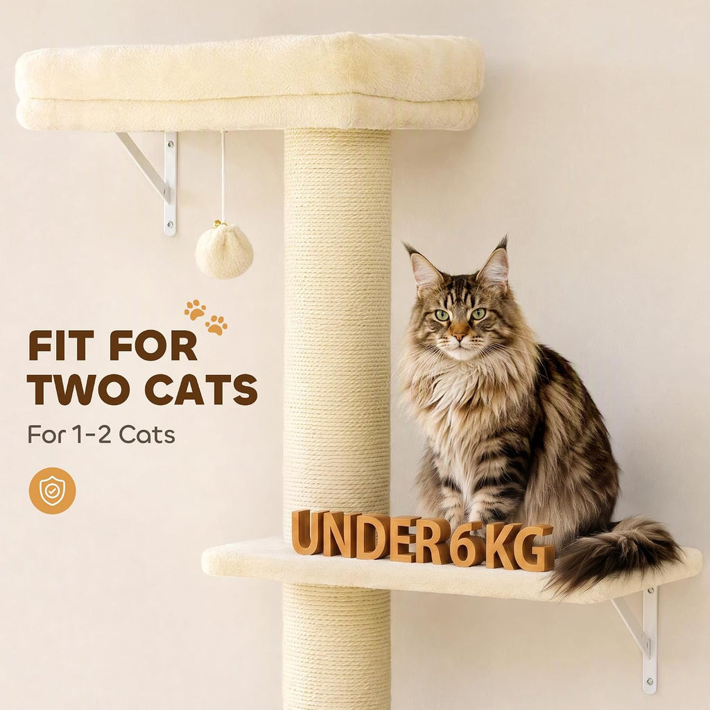 PawHut Cat Wall Shelves for Indoor Kittens Climbing Sleeping, Beige