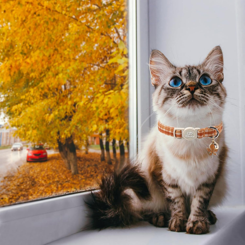 Cat Collar-2Pack Autumn Orange Plaid Kitten Collars-Halloween Plaid Breakaway Kitty Collars-Cute Kitty Pendants,Yellow O