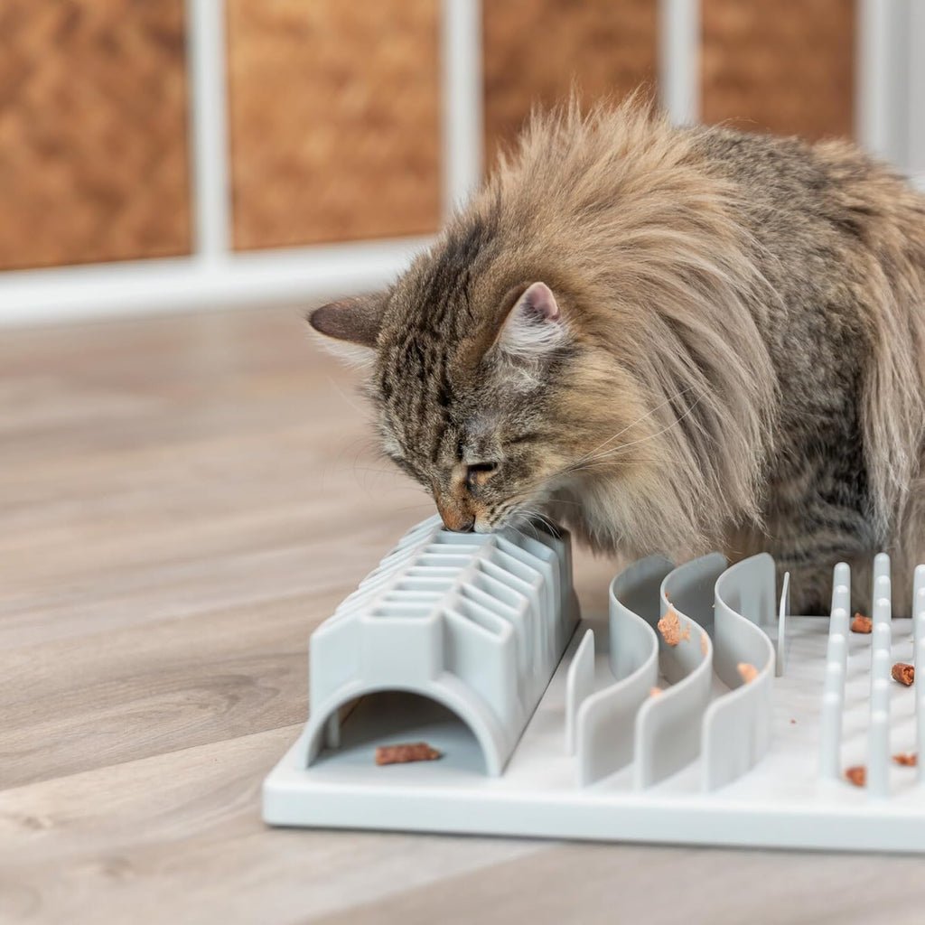 TRIXIE 5-in-1 Fun Board Interactive Cat Toy for Indoor Cats, Gray