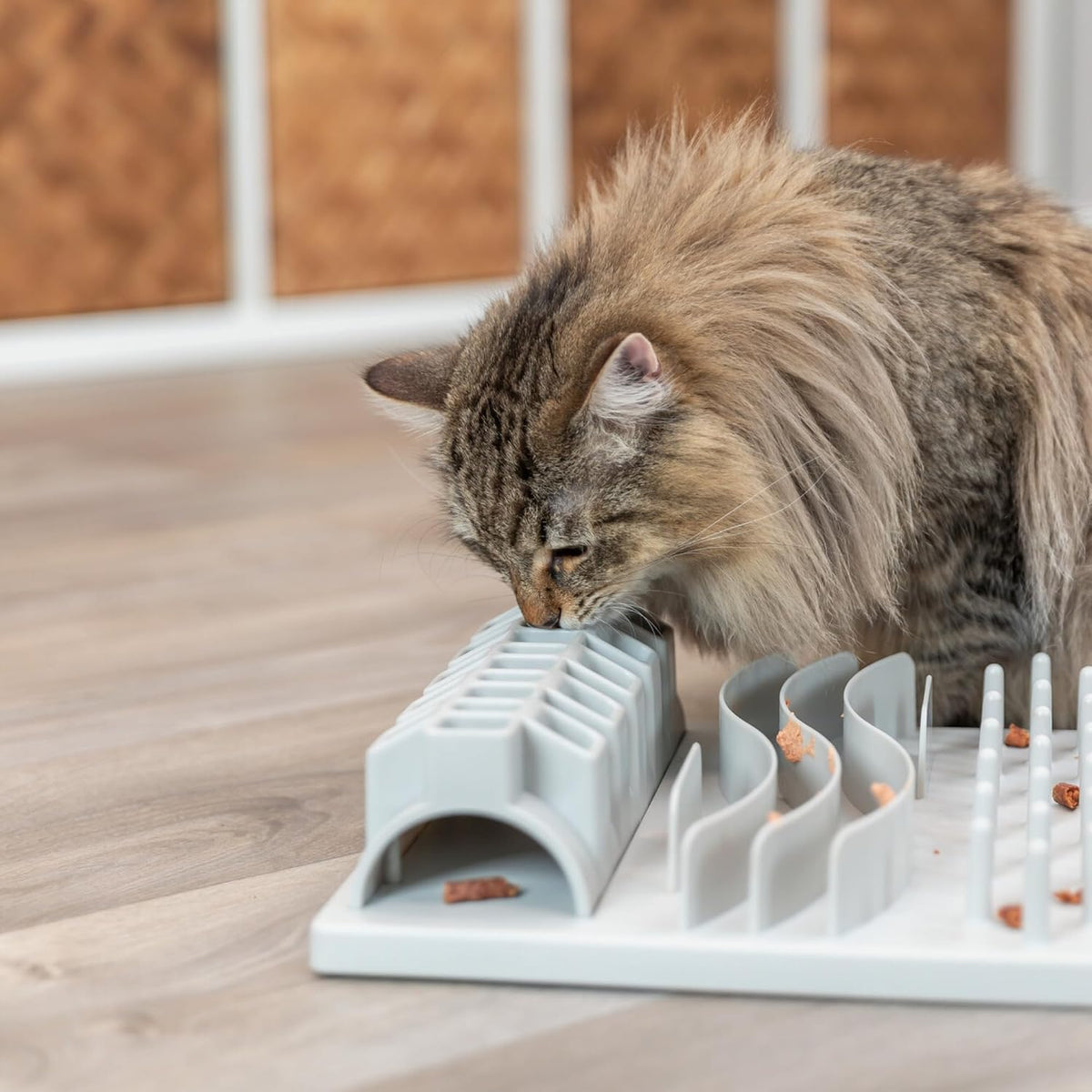 TRIXIE 5-in-1 Fun Board Interactive Cat Toy for Indoor Cats, Gray