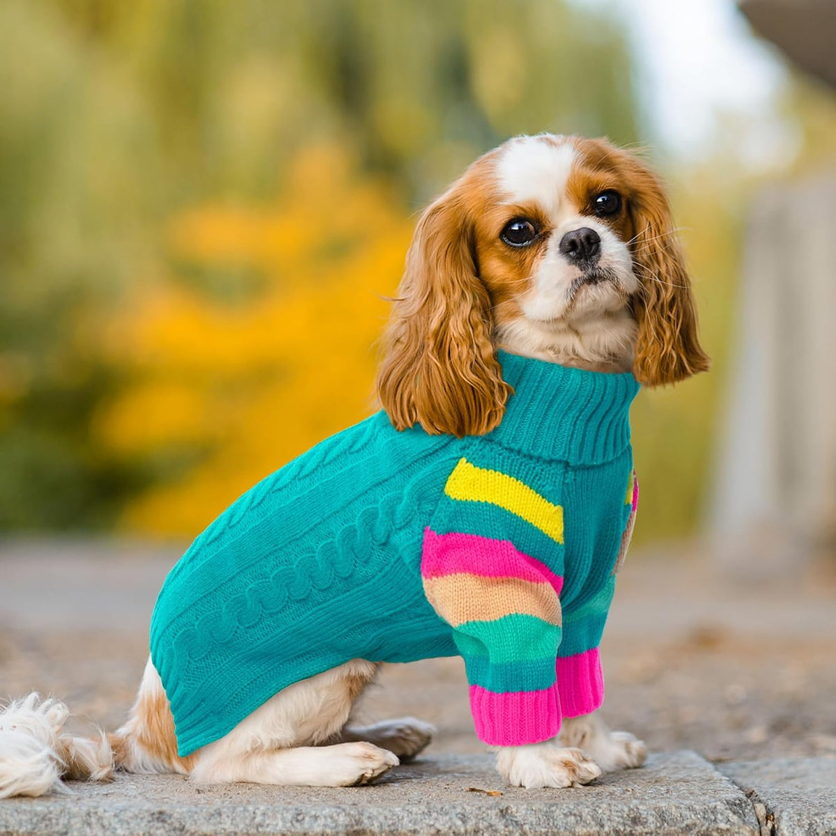 Small Dog Sweater, Turtleneck Pullover With Sleeves, Green S