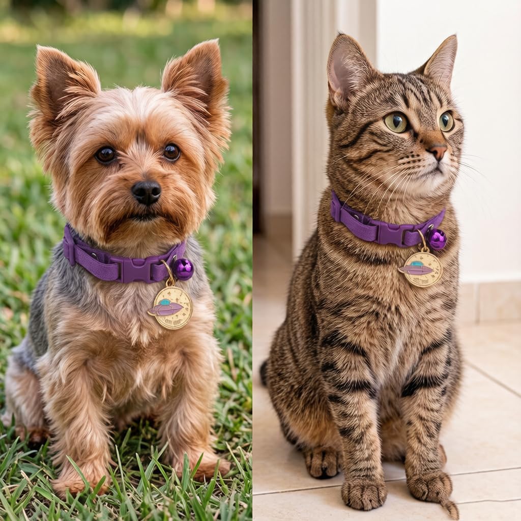 Cat Collar with Bell Pretty Girl Kitten Collar with Bells, Dark Purple XXS
