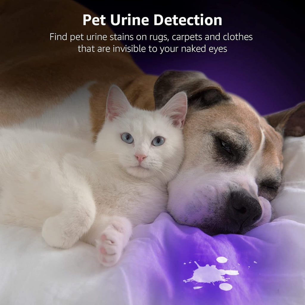 Lepro 51 LED Handheld UV Blacklight, 395nm, Pet Urine Detector
