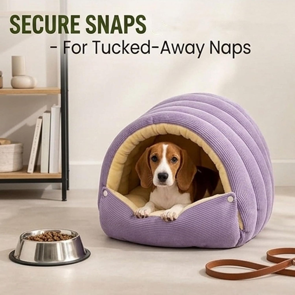 Dachshund Cave Bed, Cat Cave Bed & Dog Cave Beds (Medium,Green)