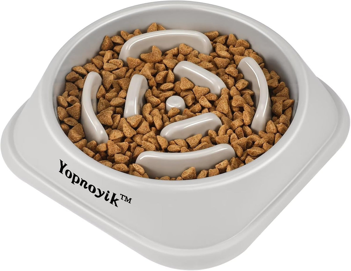 2 Pack Slow Feeder Dog Bowls for Medium Dogs & Cats