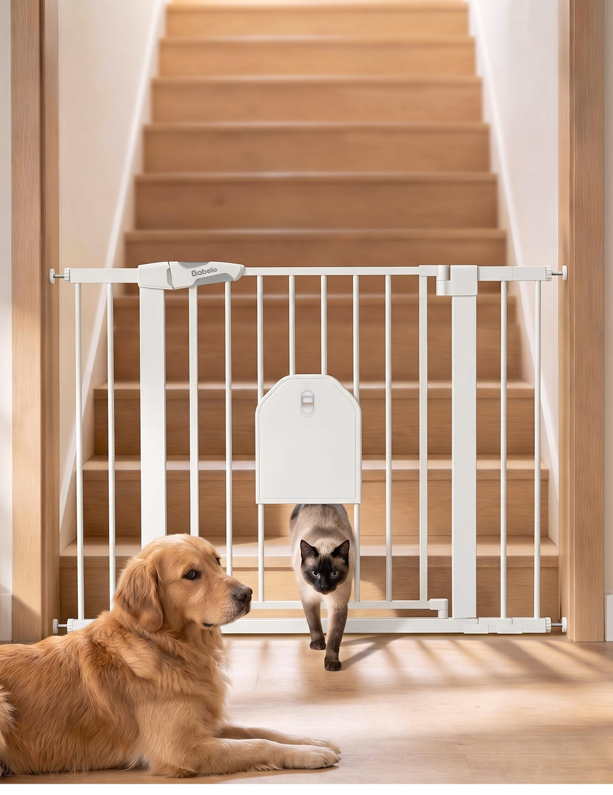 Babelio Auto Close Dog Gate with Cat Door, CatPrivilege I, 29-43"