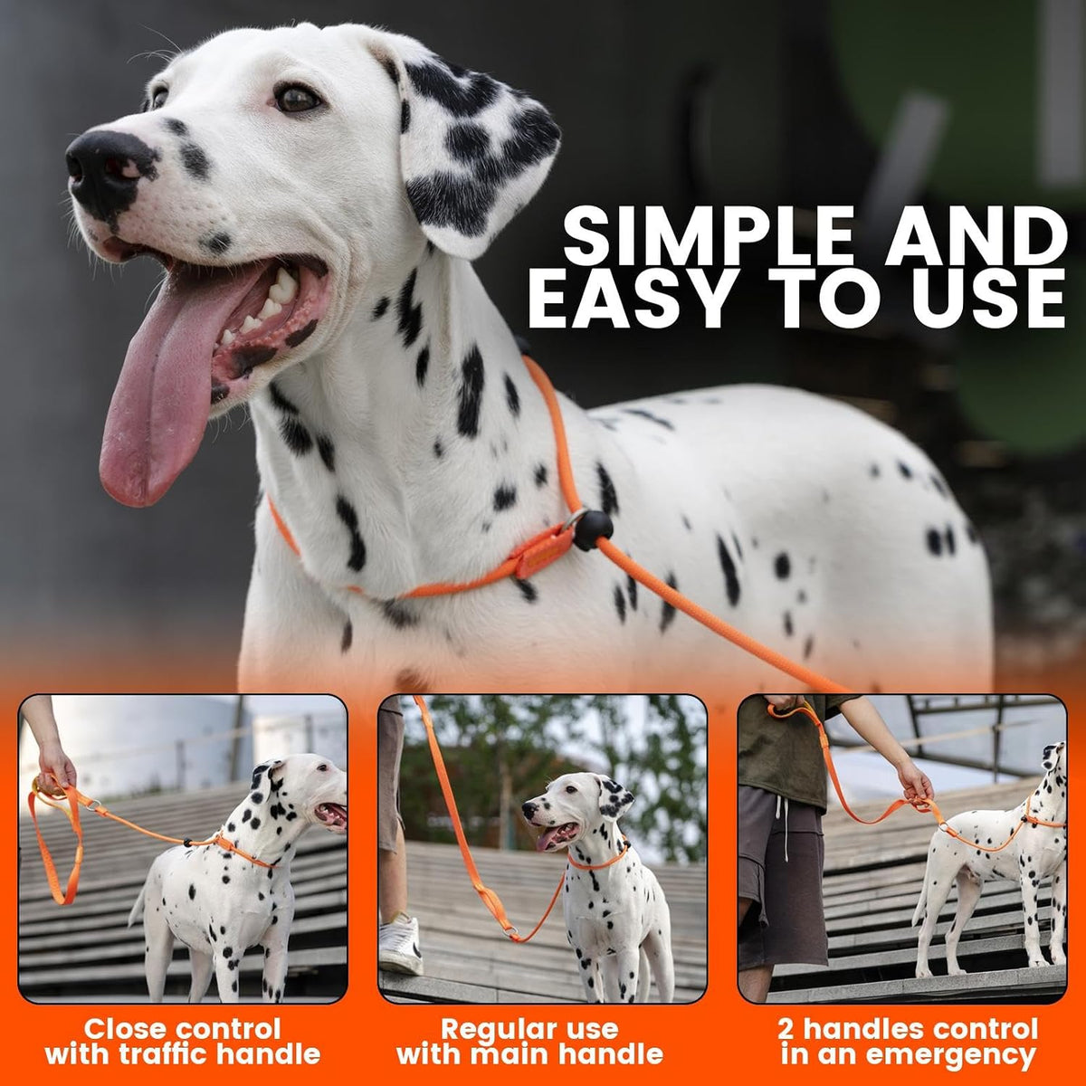 Slip Lead Dog Leash with 2 Spring-Loaded Stoppers (Black 5.0FT)