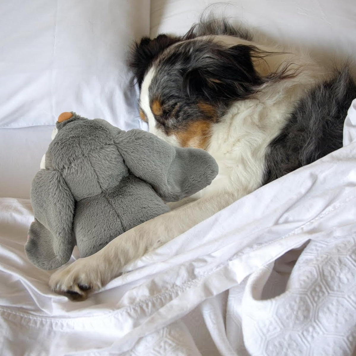 Snuggle Rabbit Heartbeat Stuffed Toy, Puppy Plush
