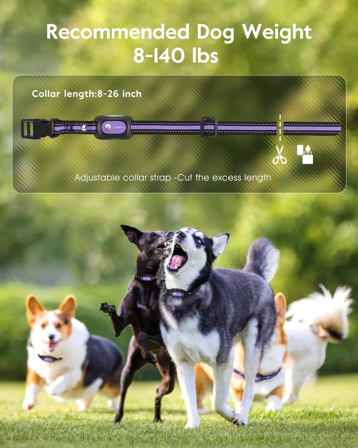 SLOPEHILL Dog Shock Collar 2 Dogs (8-140Lbs),4200FT Dog Training Collar