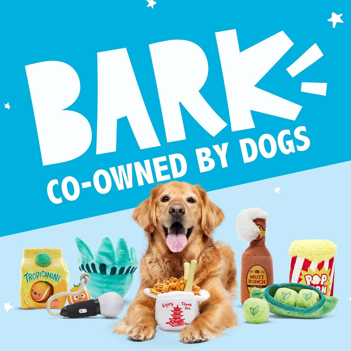 BarkBox Consuela the Cactus 2-in-1 Interactive Plush Dog Toy