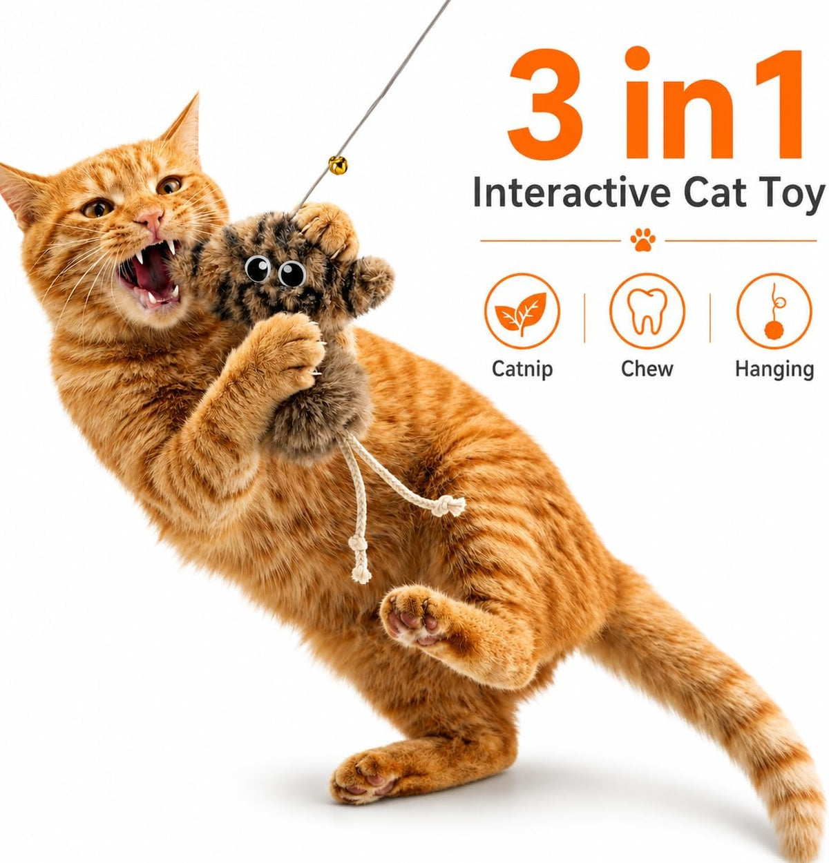 Cat Toys for Indoor Cats,Interactive Door Hanging Cat Toys Attached with Catnip/Feathers/Birds/Worm Toys for Cats/Kitten