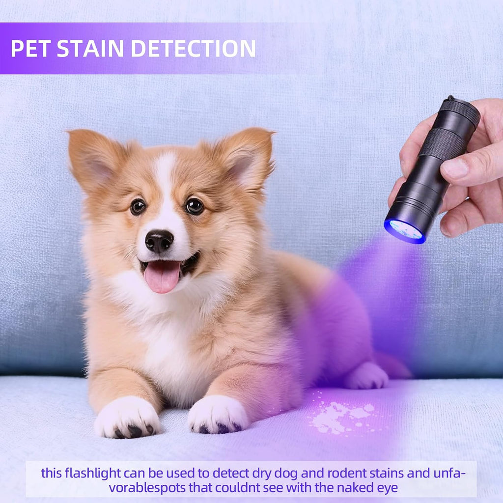 UV Flashlight Black Light–Small Portable Mini 12 LED Blacklight Flashlight for Hidden Stain Detection in Room, Resin Cur
