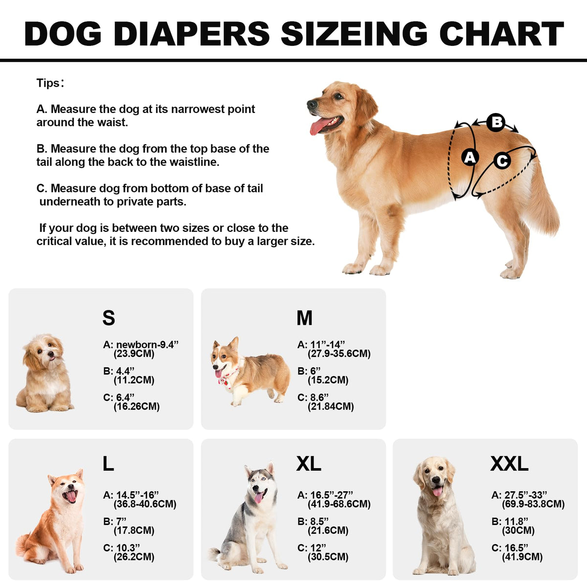 Reusable Dog Diapers Female Washable, Premium Doggie Diaper for Dogs, Pack of 3, Highly Absorbent Small Dog Diaper for Heat, Incontinence and Puppy Training(S)