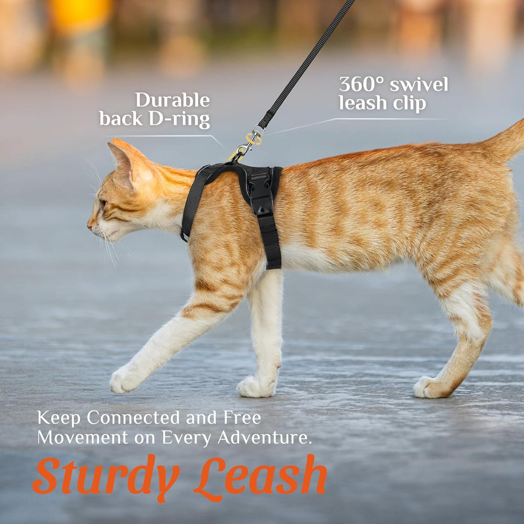 Cat Harness and Leash Set with Neck Release Buckle, Black