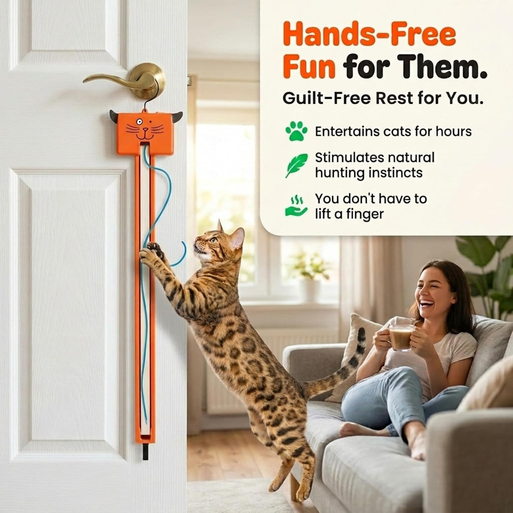 Moody Pet Interactive Cat Toy for Indoor Cats – Fling-AMA-String Automatic, Moving, Flying String Toy for Cats – Battery