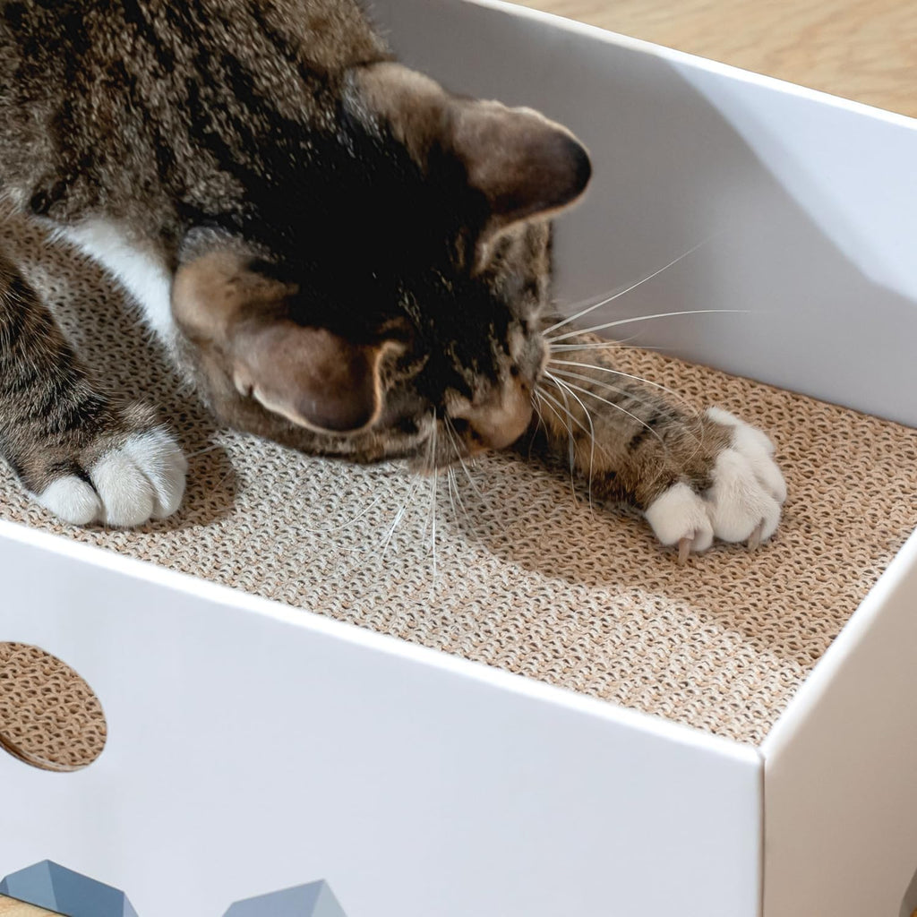 Conlun Cat Scratcher Box, Cardboard Pad, Bed for Indoor Cats, White