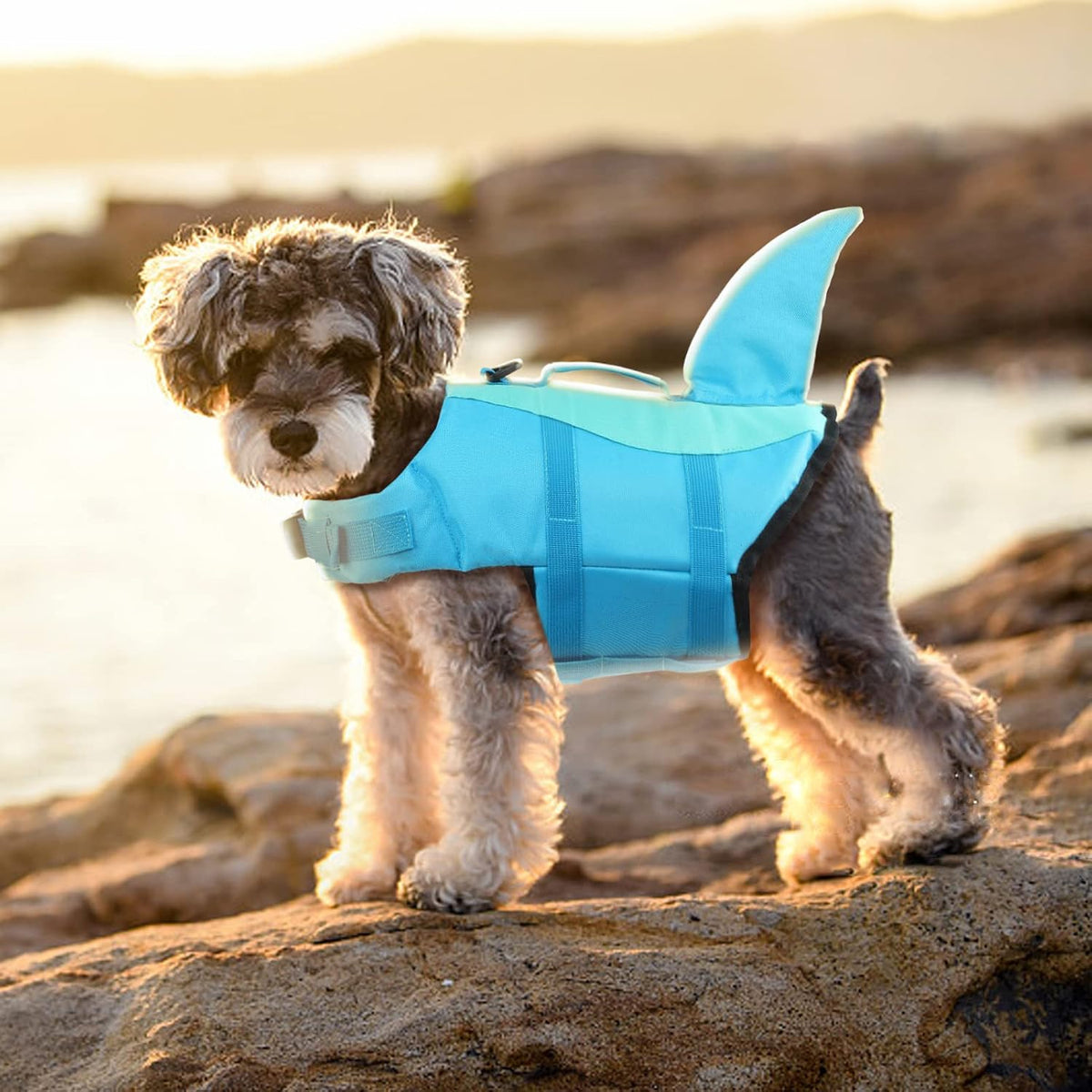 EMUST Shark Dog Life Jackets for Water Safety - Adjustable Ripstop Pet Life Vest with Rescue Handle for Swimming Pool, B