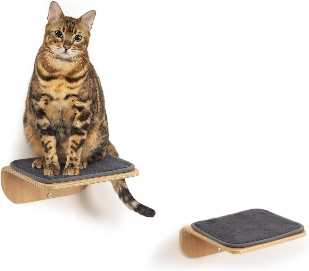 Cat Wall Shelves for Cat Wall Steps, Perch, Ladder, Wooden Floating Modern Mounted Space Saving Furniture with Scratchin
