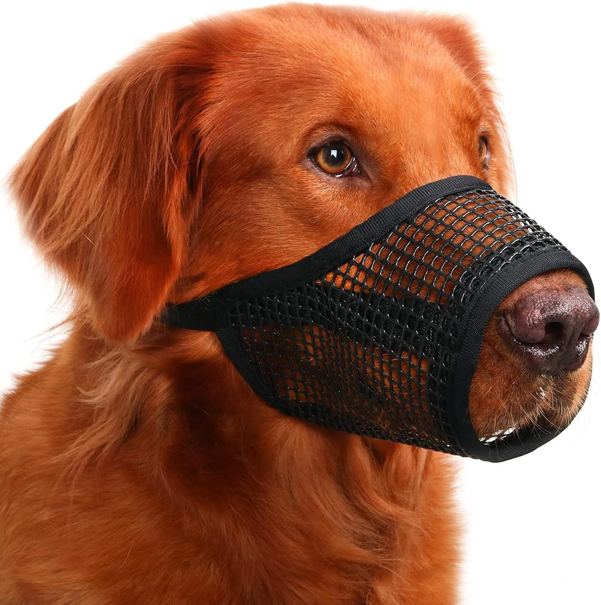 Dog Muzzle, Soft Mesh Muzzles for Small Dogs Biting | Black, XXS