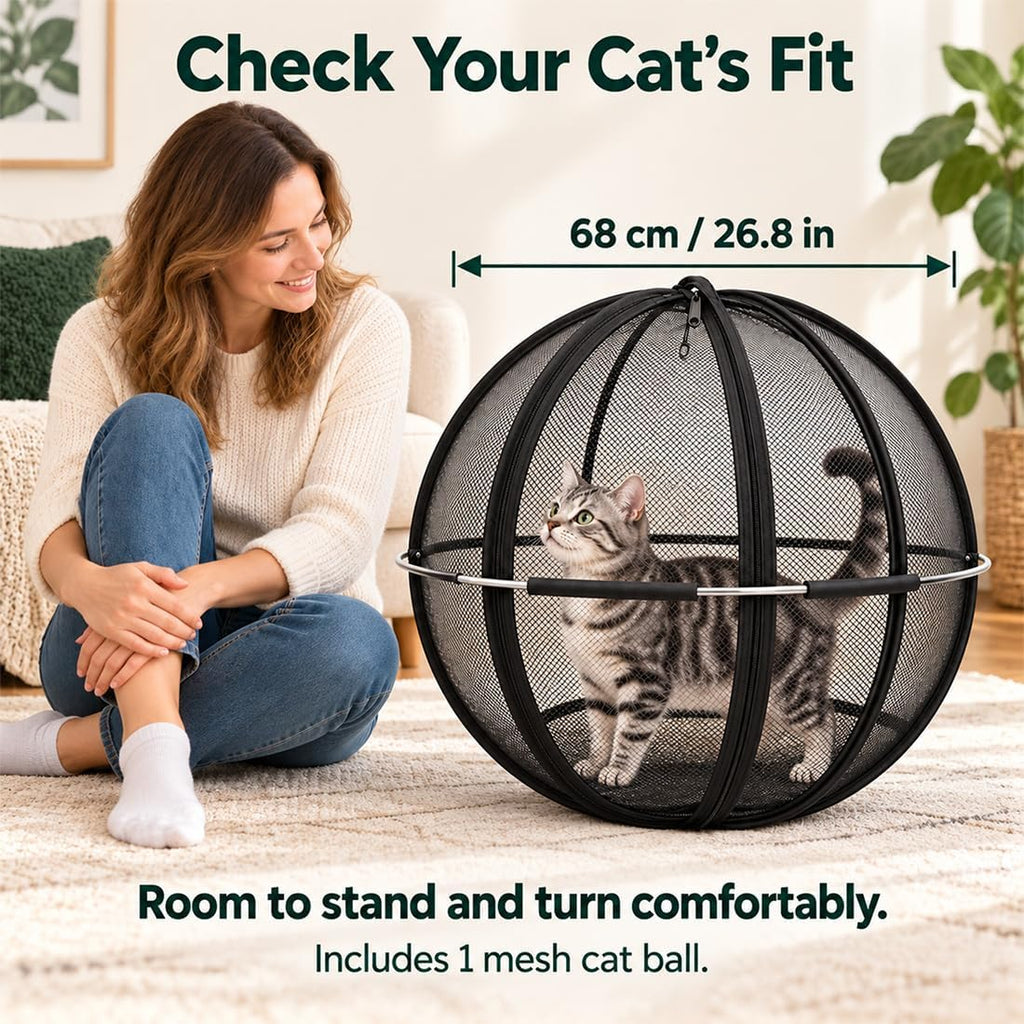 Rolling Cat Hamster Ball for Outside, Giant Mesh Cat Ball Cage Playpen，Blac