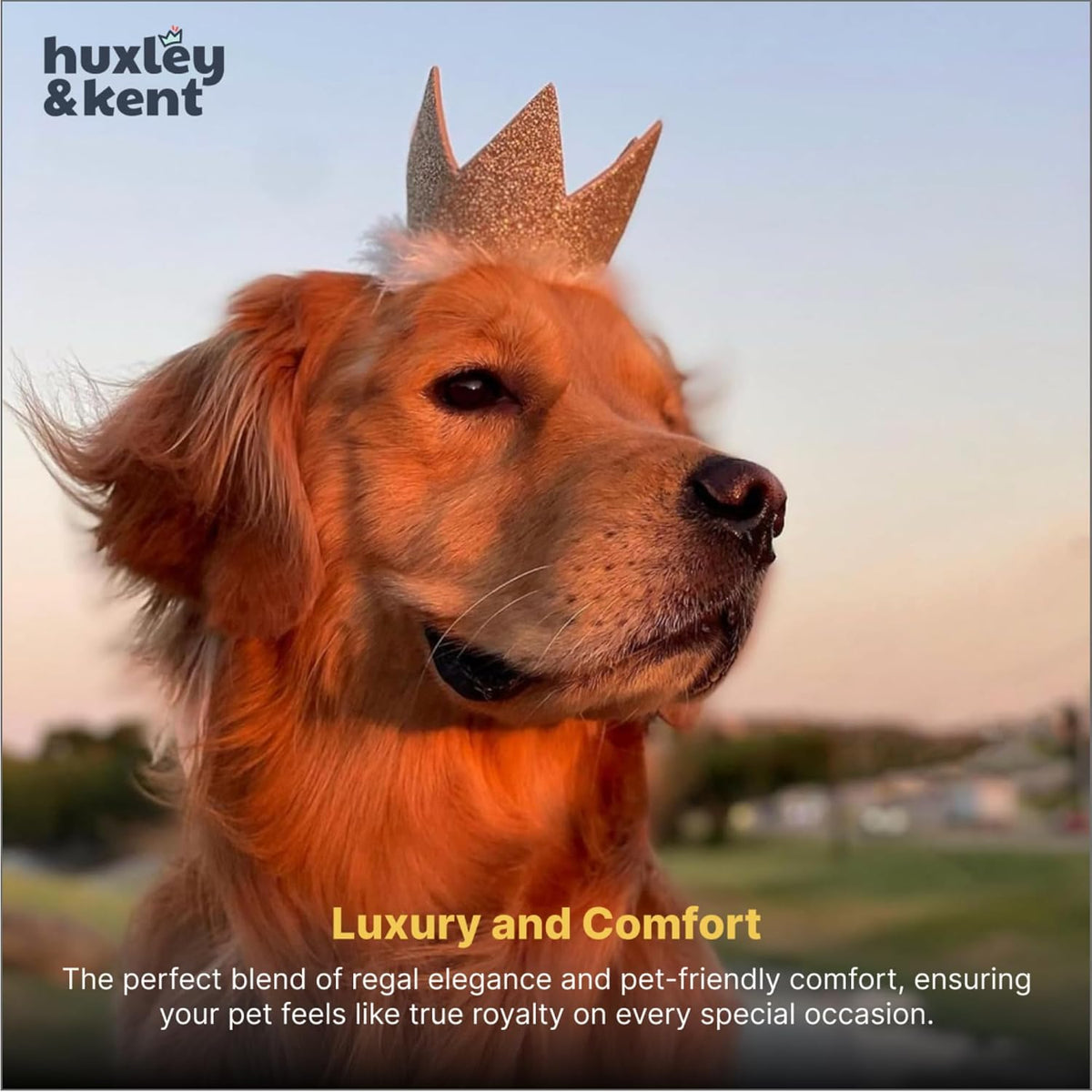 Huxley & Kent Party Crown Hat for Dogs & Cats, Gold, Large