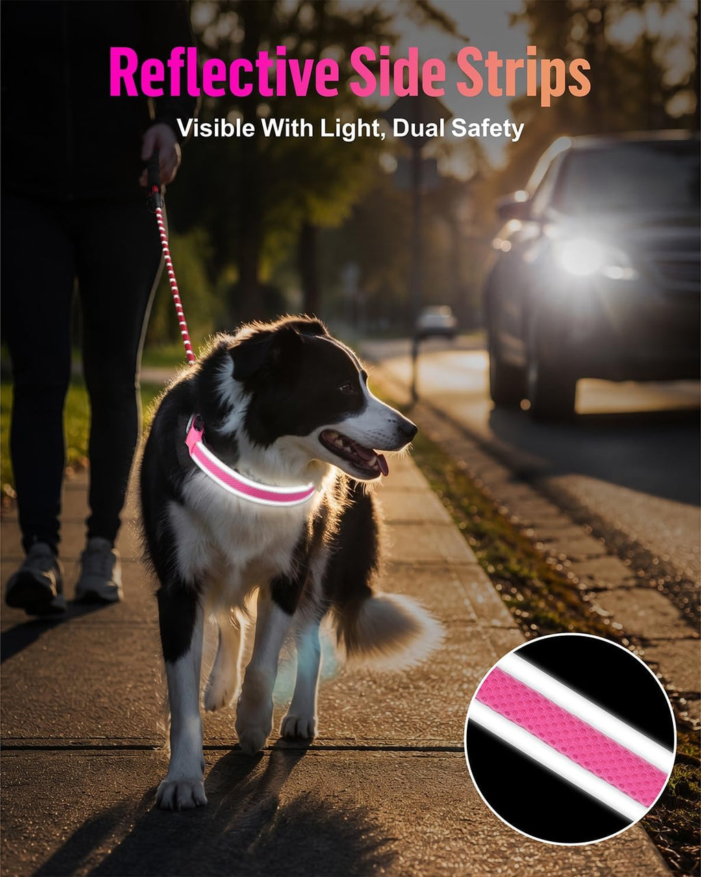 Taglory Light Up Dog Collar for Night Walking, LED Rechargeable, Hot Pink M