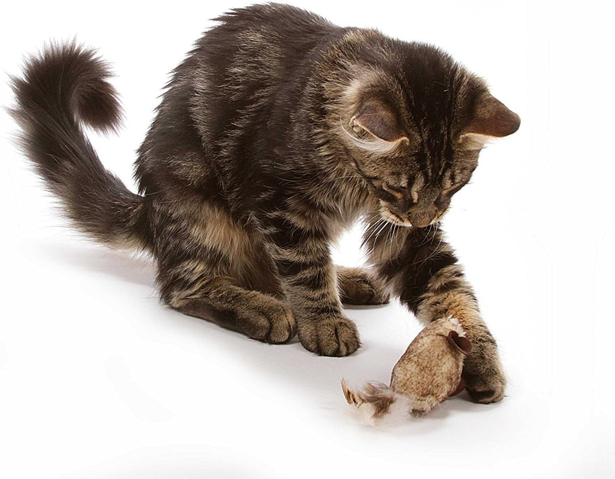 OurPet's Play-N-Squeak Twice the Mice Cat Toy, 2 Pack, with Catnip Inside
