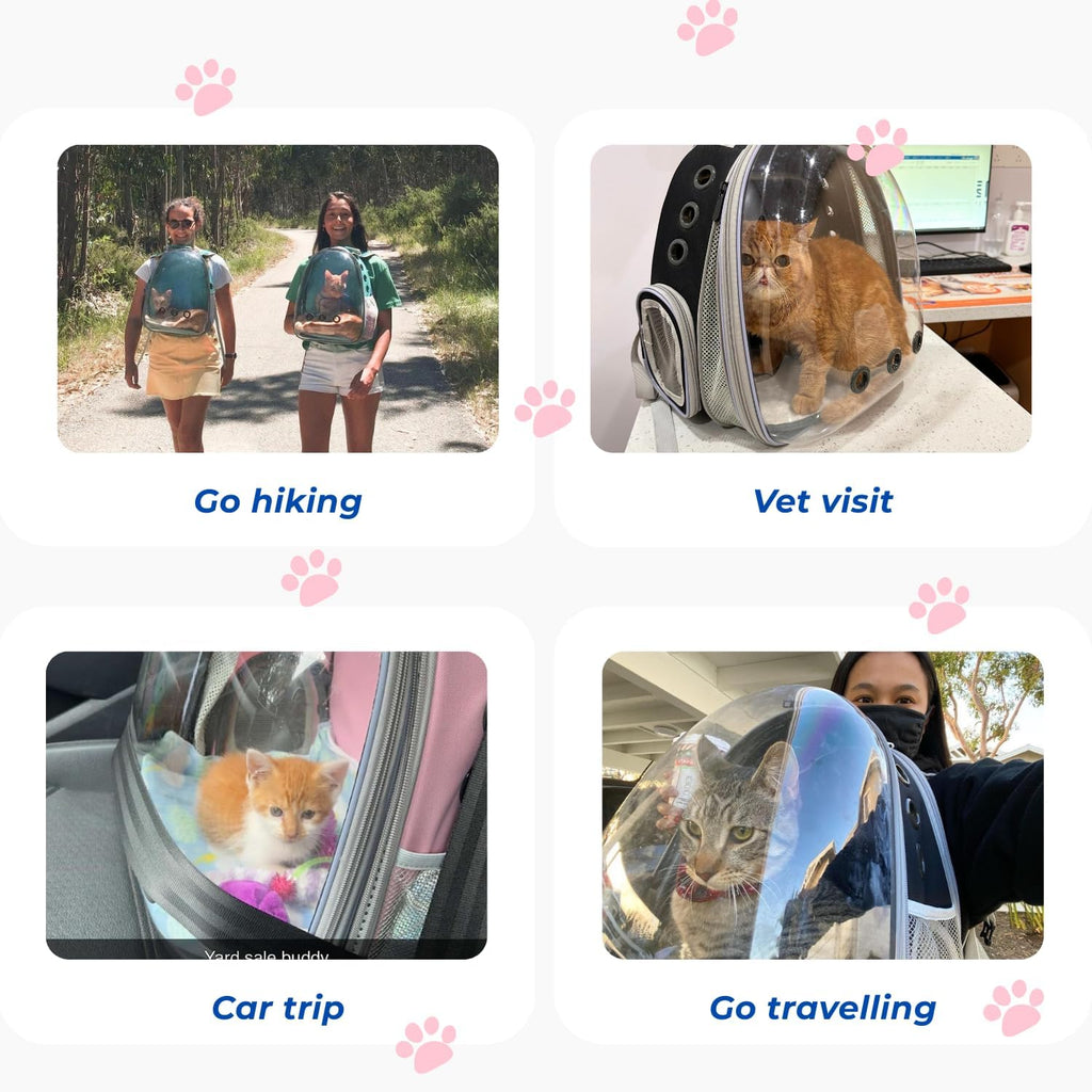 Lollimeow Cat Backpack Carrier, Pet Bubble Backpack, Supports up to 16 lbs