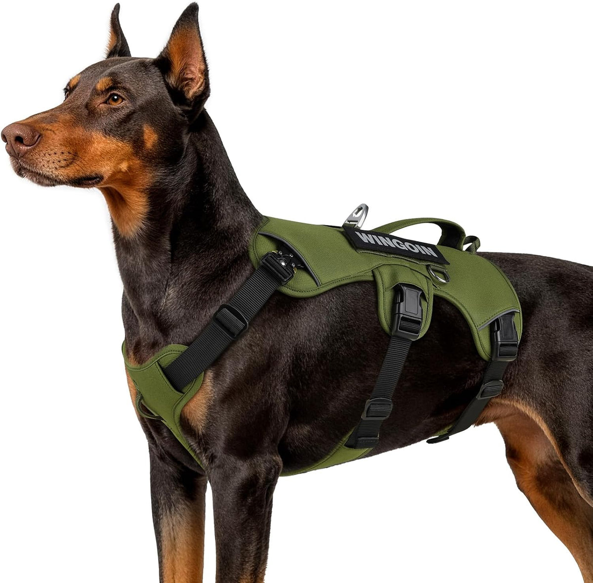 Escape Proof Dog Harness,No Pull for Large Dogs with Handle,Green,L