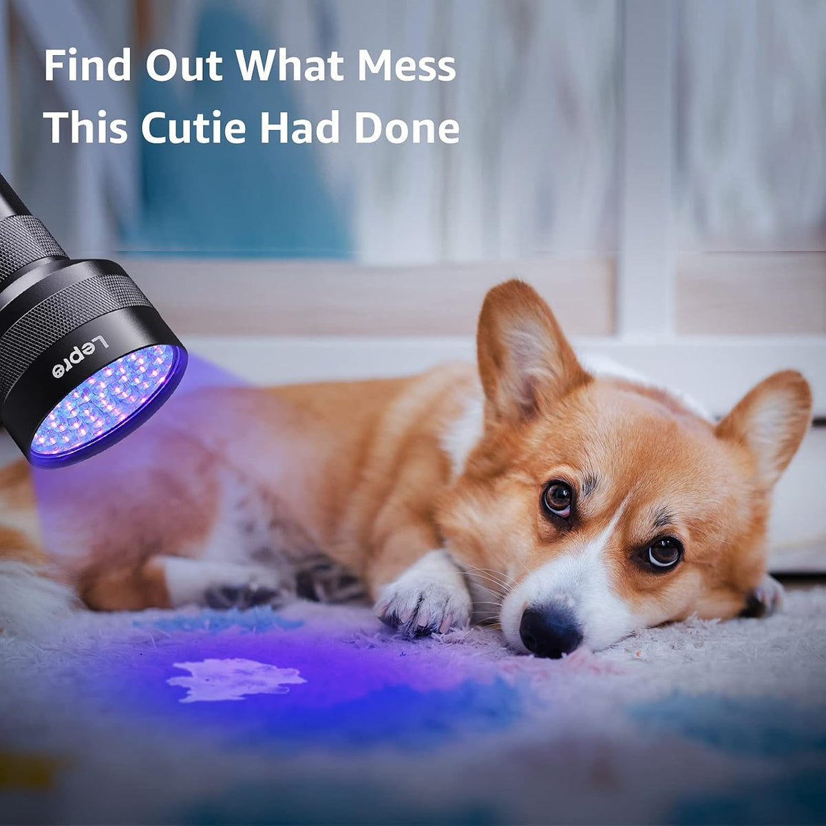 Lepro 51 LED Handheld UV Blacklight, 395nm, Pet Urine Detector