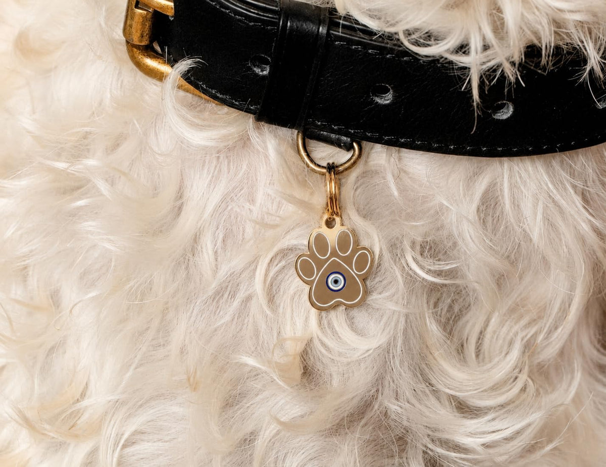 Two Tails Evil Eye Paw Personalized Cat ID Tag - Mini