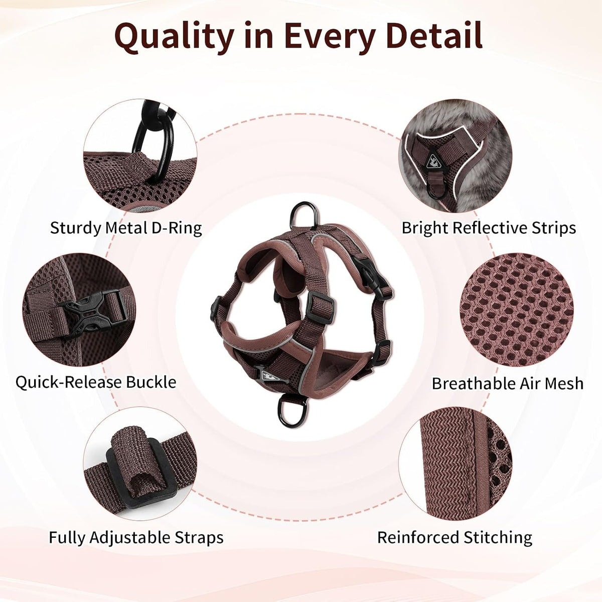 Large Cat Harness & Leash Set, Escape-Proof Soft Vest for Outdoor Walking