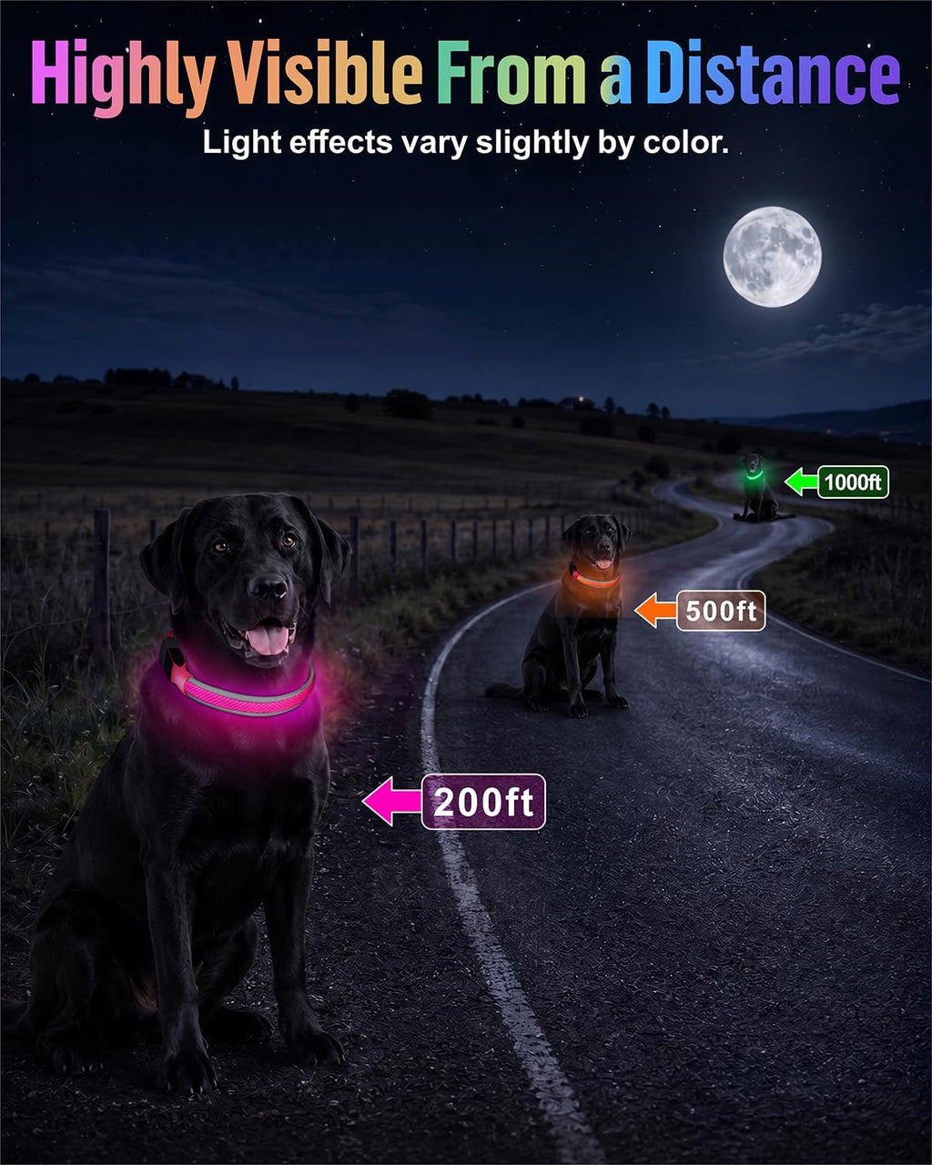 Taglory Light Up Dog Collar for Night Walking, LED Rechargeable, Hot Pink M