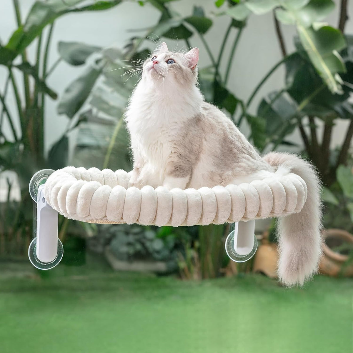 Sunhoo Foldable Cat Window Perch, Large Suction Cup Kitty Hammock, Green